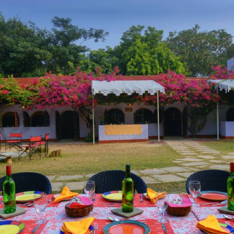 Chambal Safari Lodge