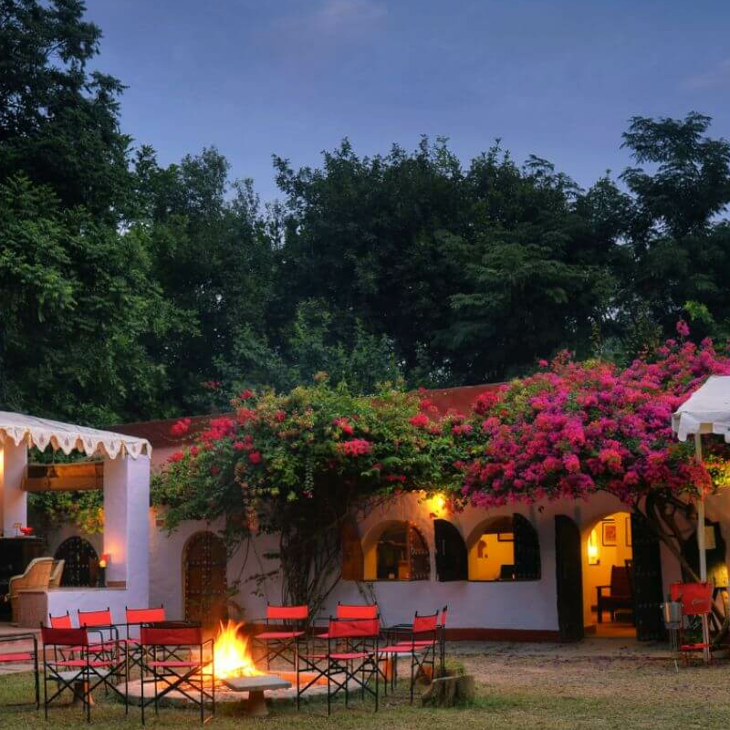Chambal Safari Lodge