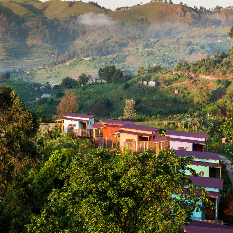 Chameleon Hill Lodge