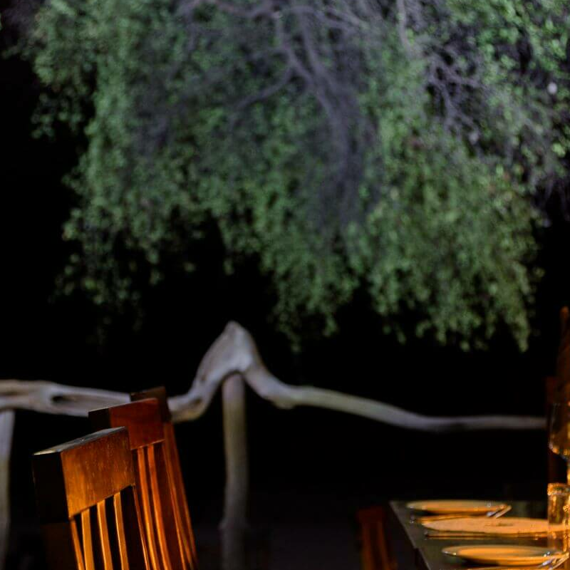 Changa Safari Camp