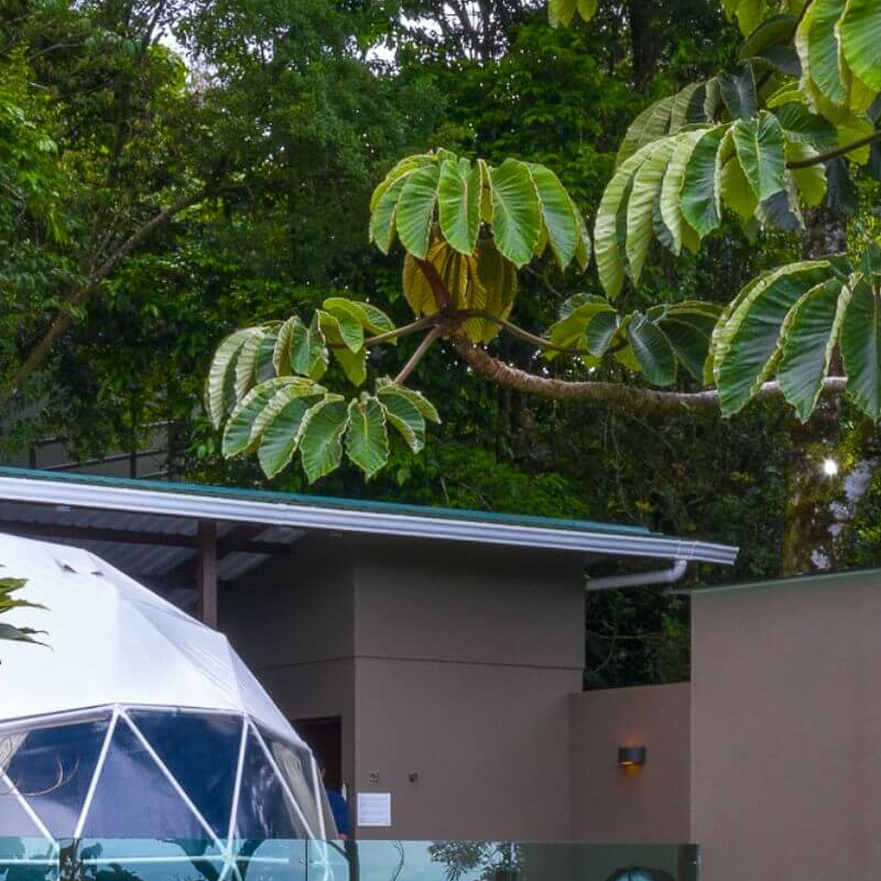 Chira Glamping Monteverde