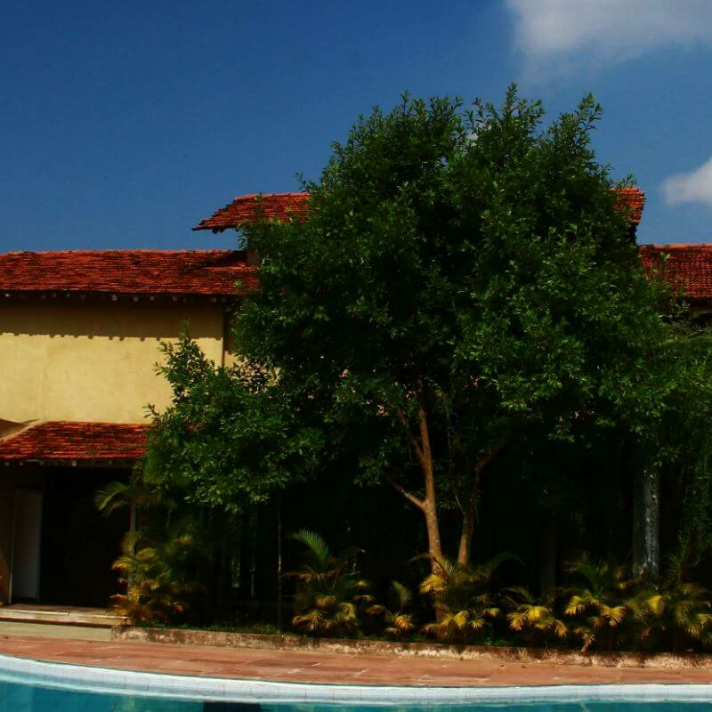 Chitvan Jungle Lodge