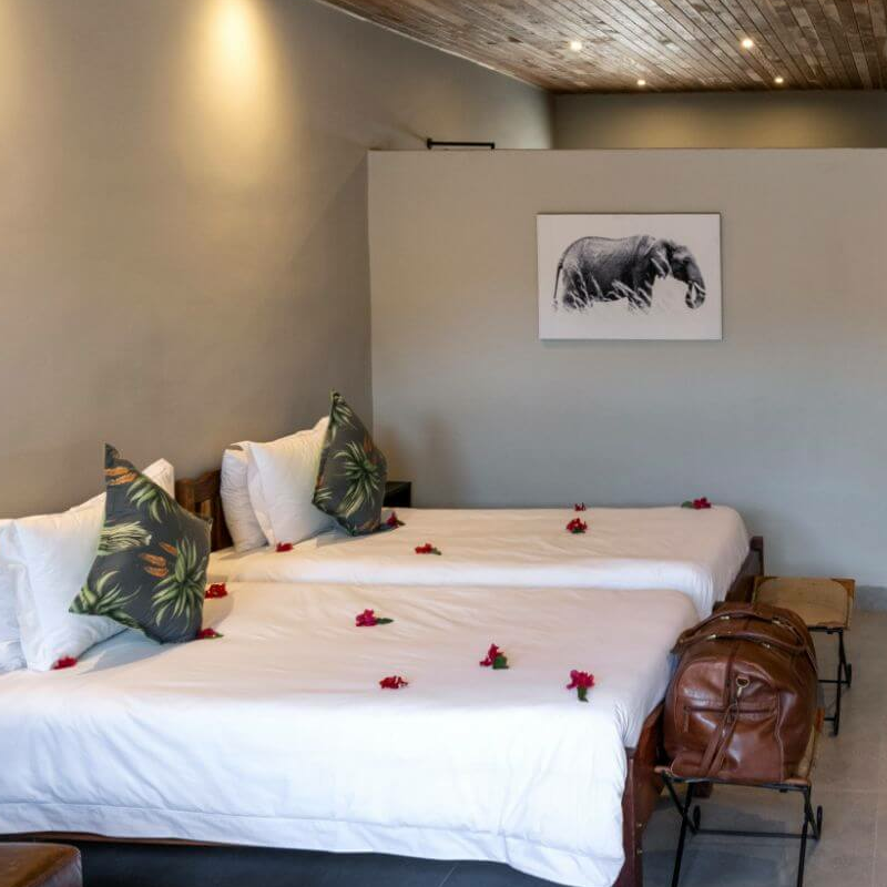 Chobe River Lodge