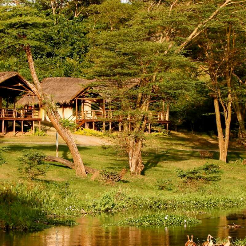 Chobe Safari Lodge