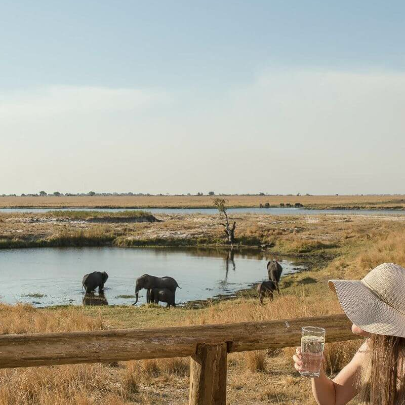 Chobe Savanna Lodge