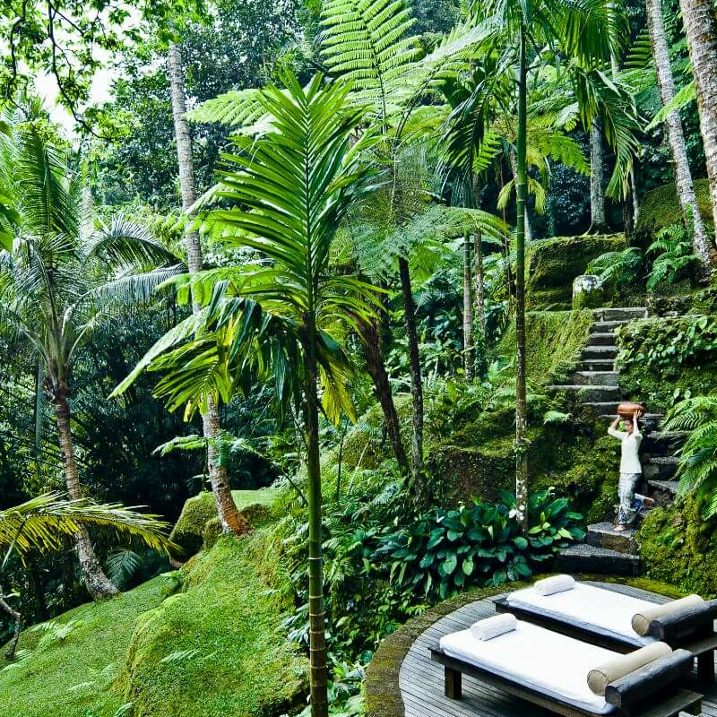 COMO Sambhala Estate