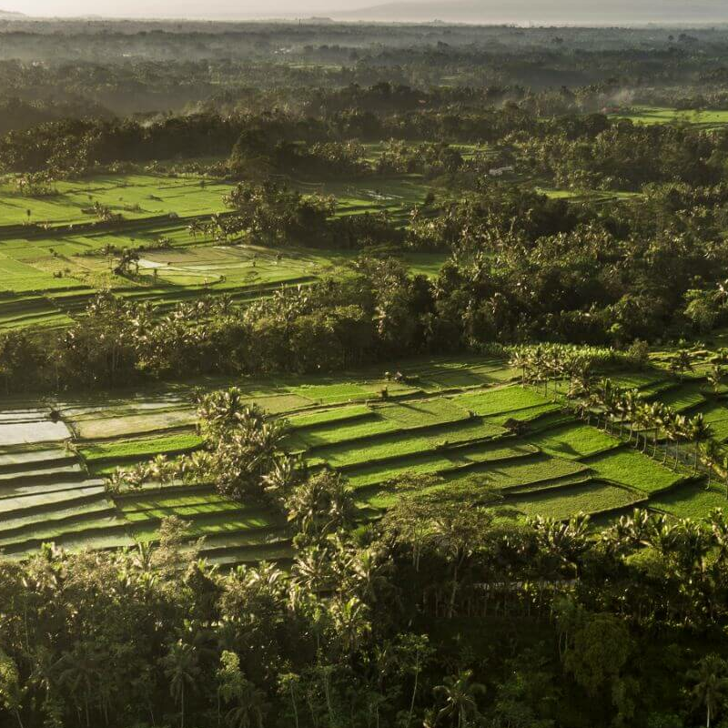 COMO Sambhala Estate