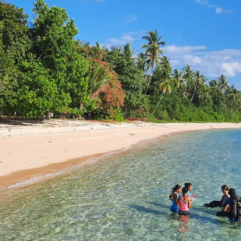 Coral Eye Bangka
