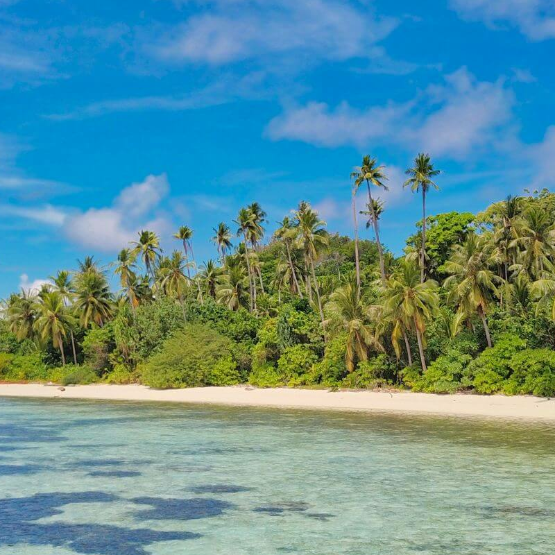 Cove Eco Resort