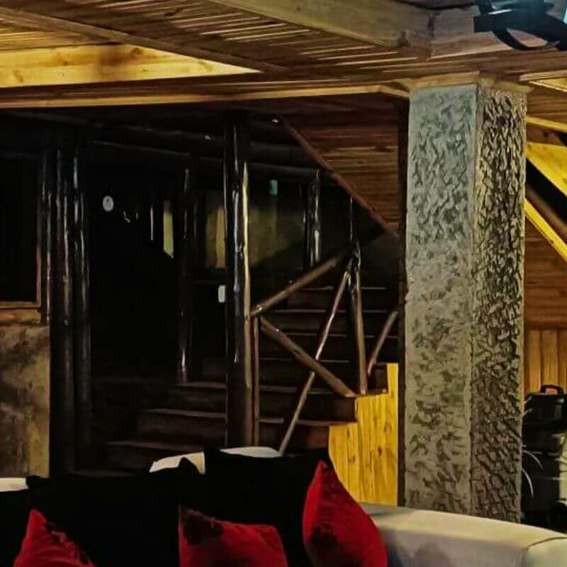 Da Vinci Gorilla Lodge