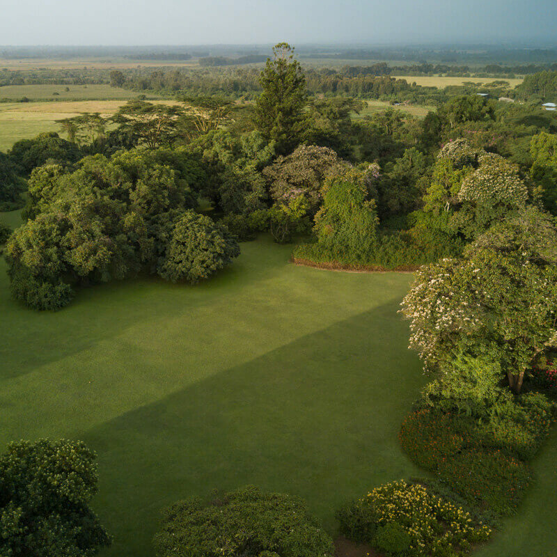 Deloraine House