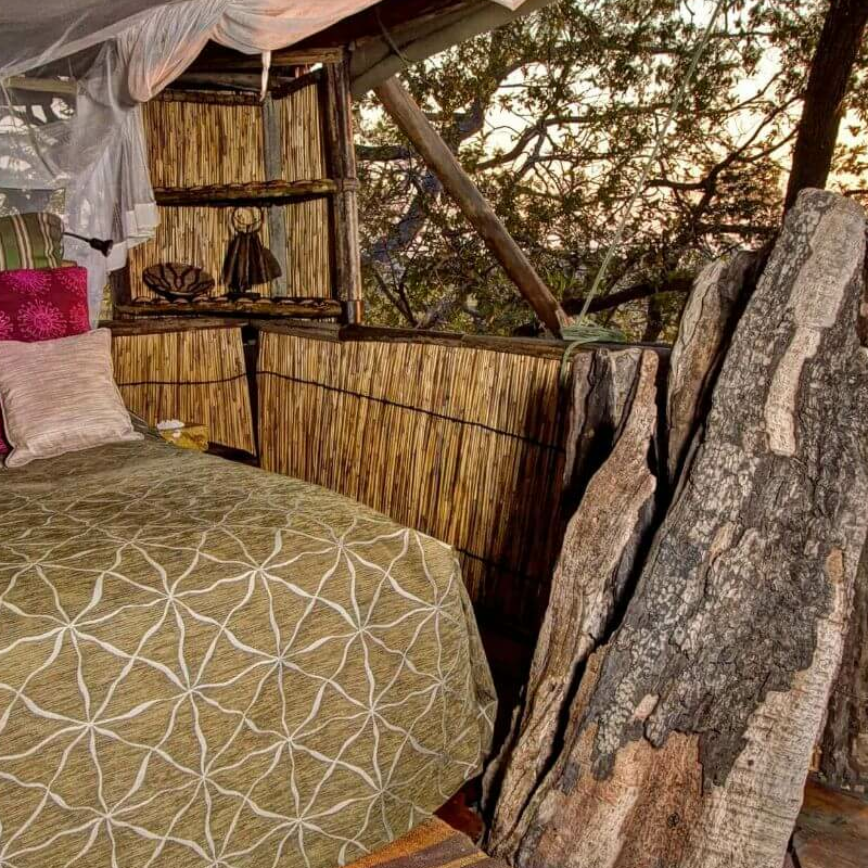 Delta Camp