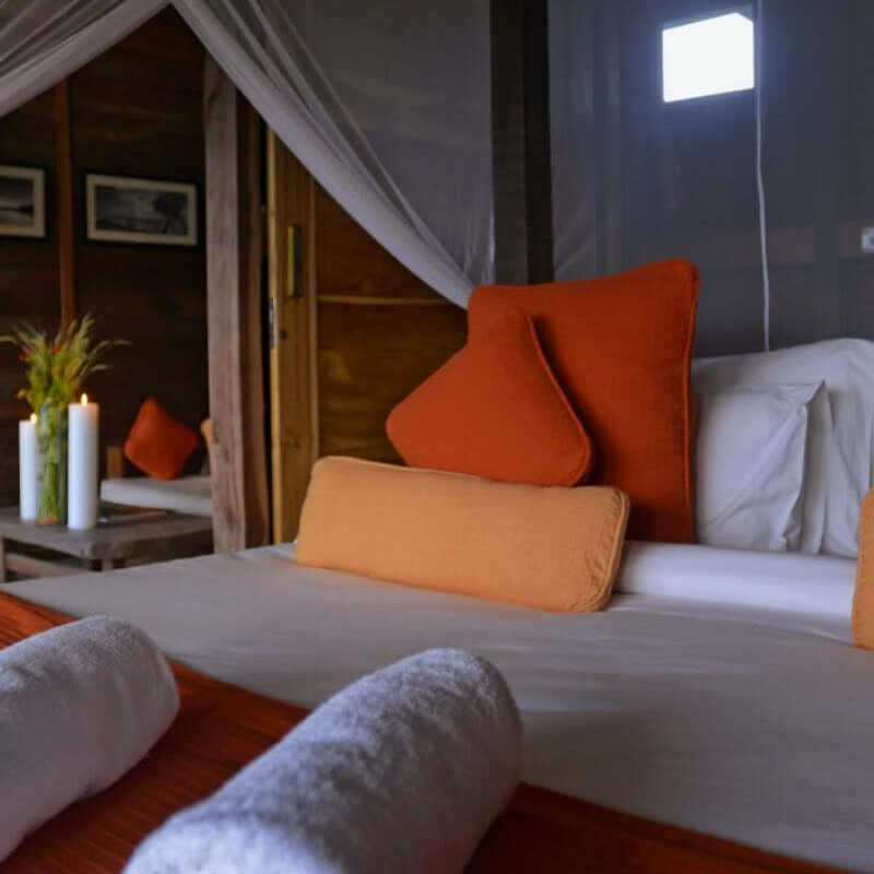 Denwa Backwater Escape