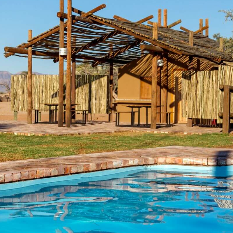 Desert Camp