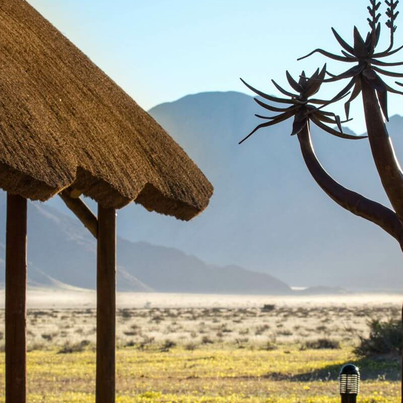 Desert Camp