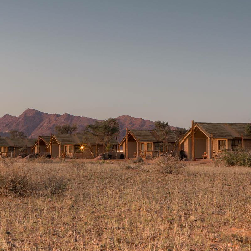 Desert Camp