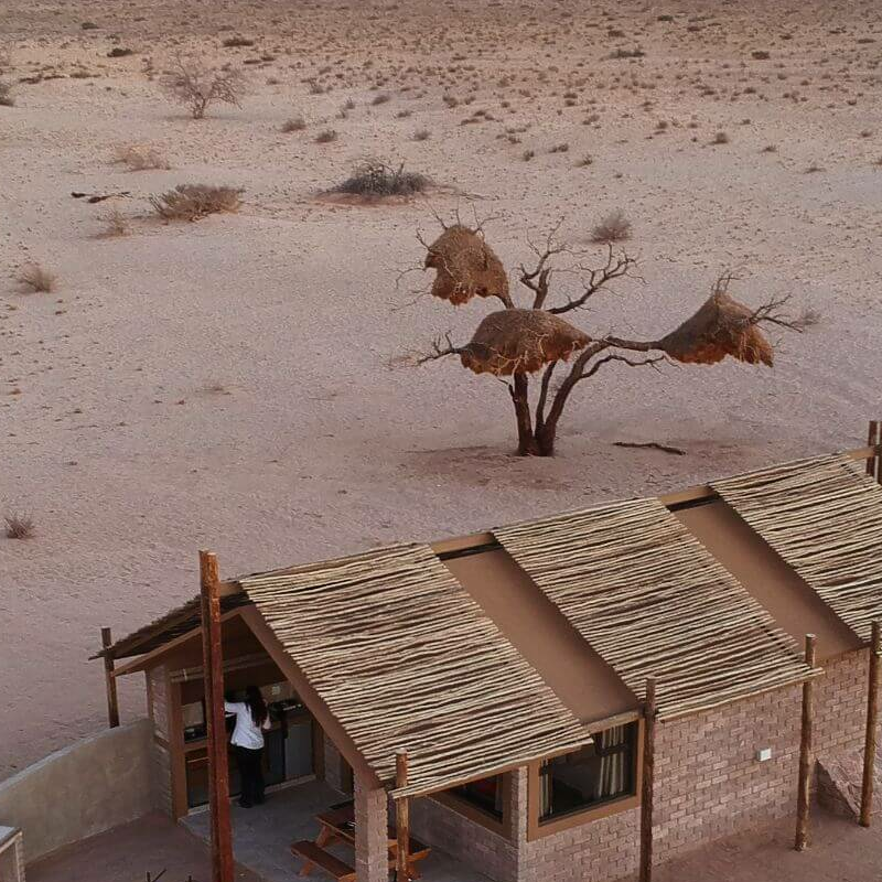 Desert Camp