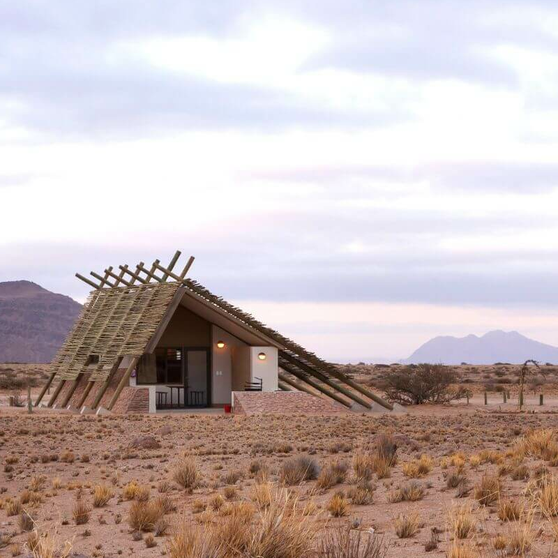 Desert Quiver Camp