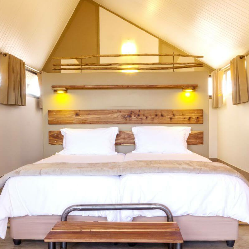 Desert Quiver Camp