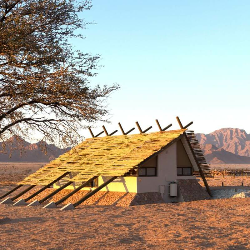 Desert Quiver Camp