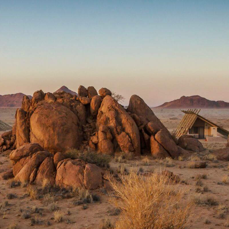 Desert Quiver Camp