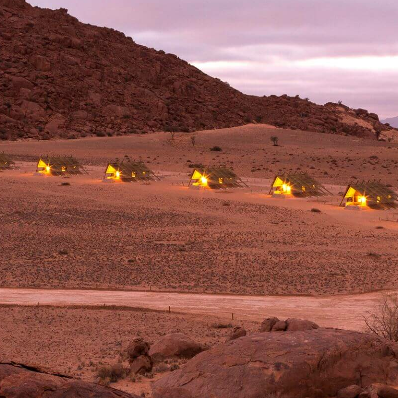 Desert Quiver Camp