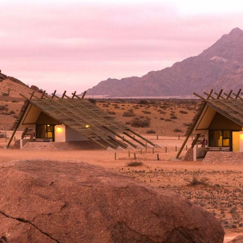 Desert Quiver Camp