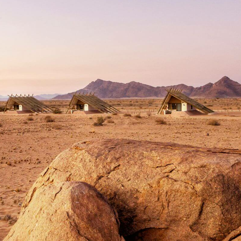 Desert Quiver Camp