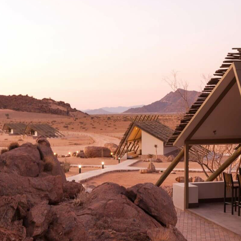 Desert Quiver Camp