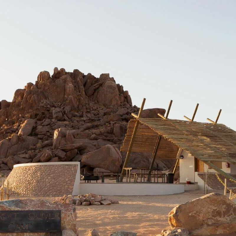 Desert Quiver Camp
