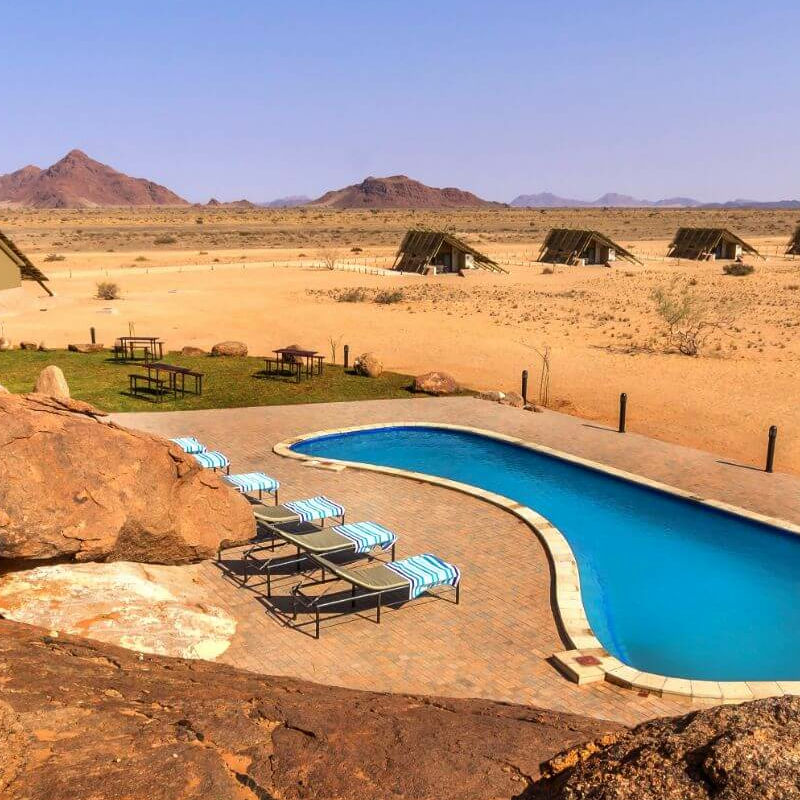 Desert Quiver Camp