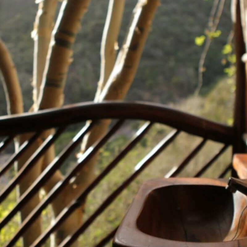 Desert Rose Lodge