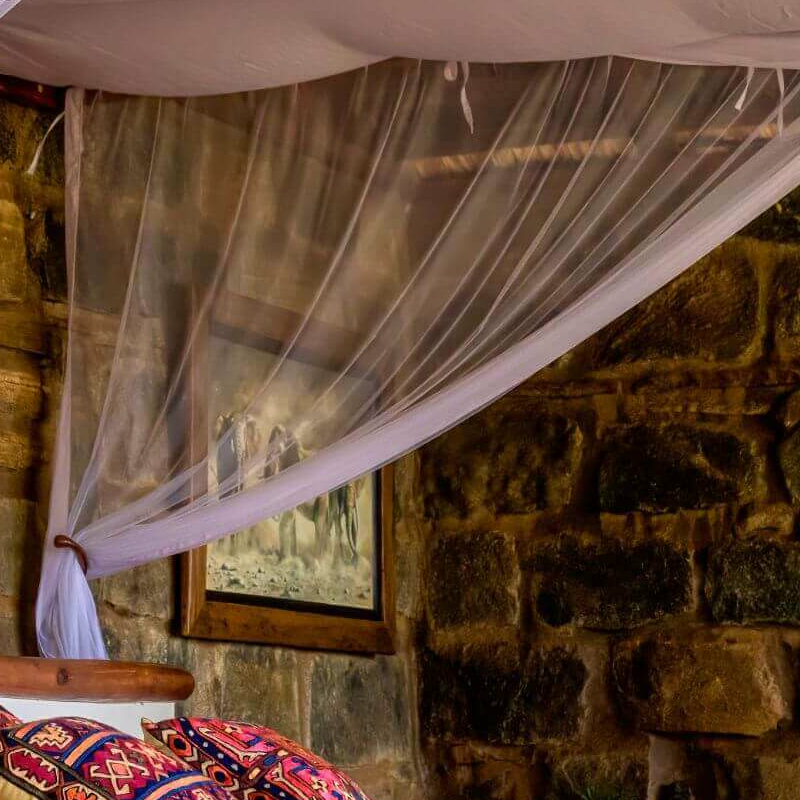 Desert Rose Lodge