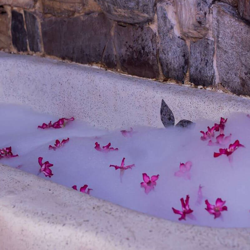 Desert Rose Lodge