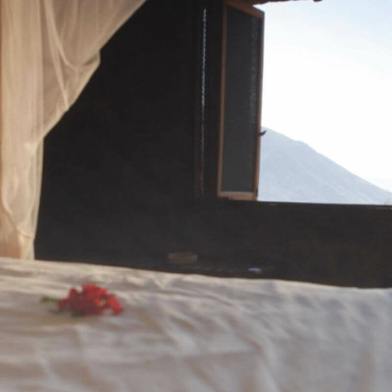 Desert Rose Lodge