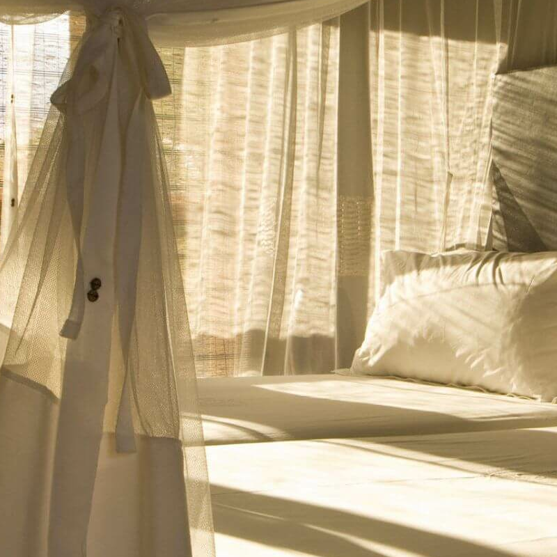 Divava Okavango Resort
