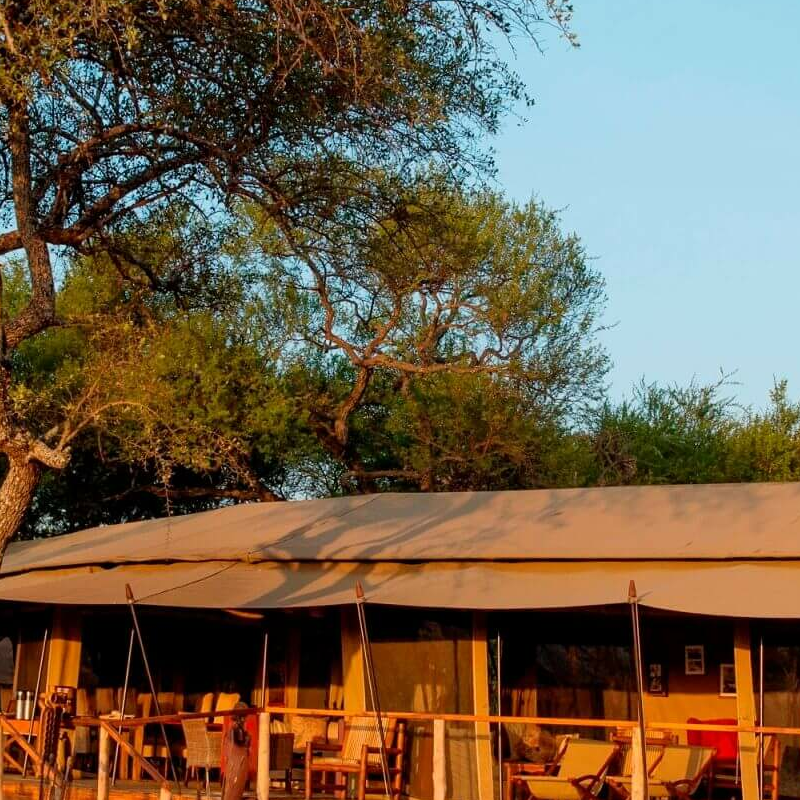 Dunia Camp