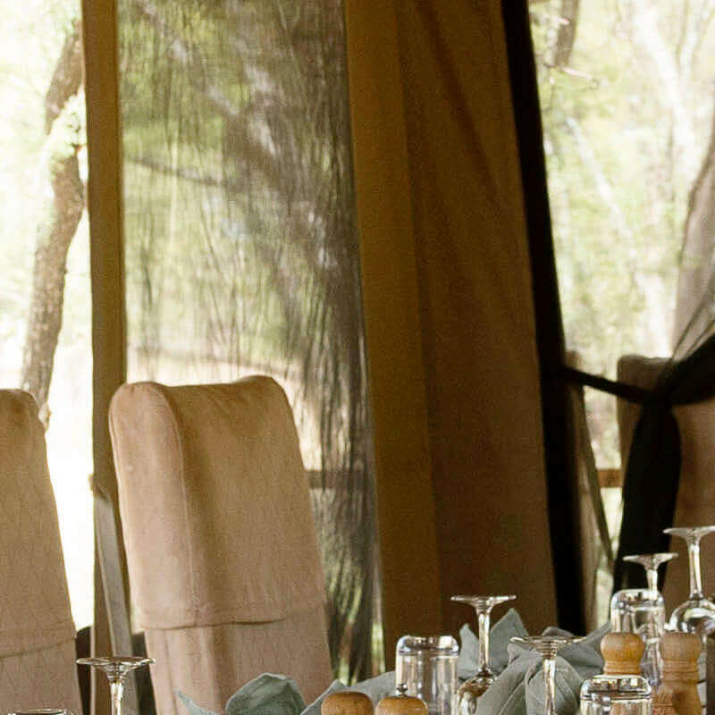 Dunia Camp