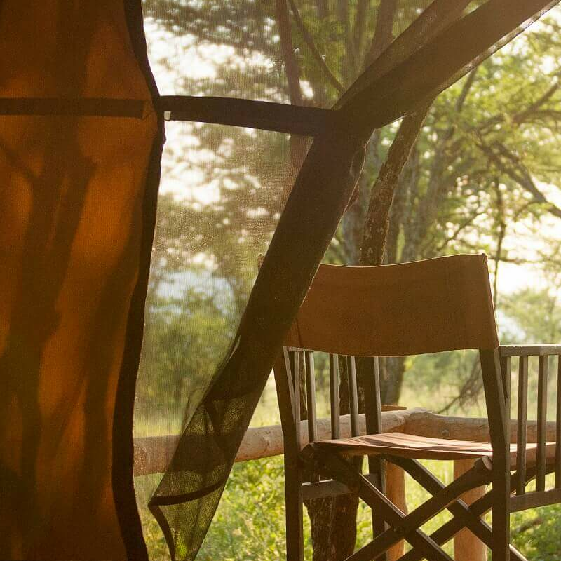 Dunia Camp