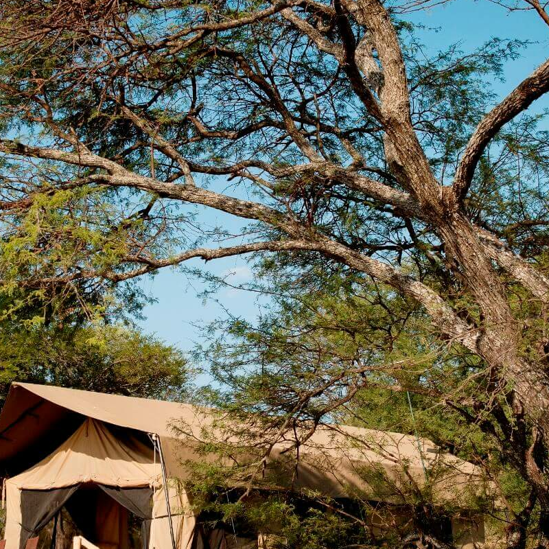 Dunia Camp