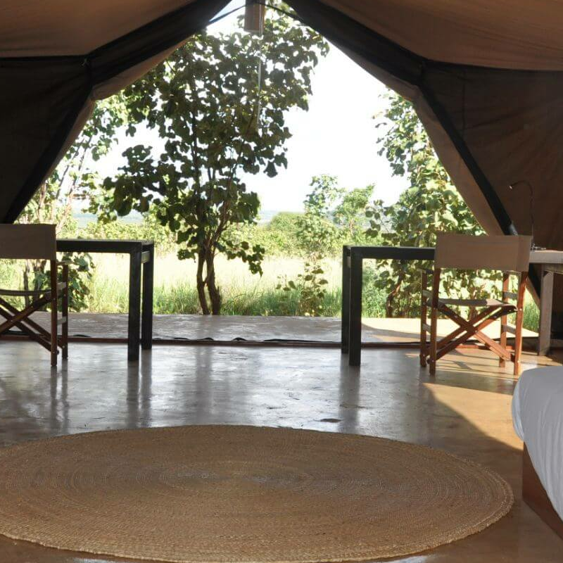 Ecoscience Lodge