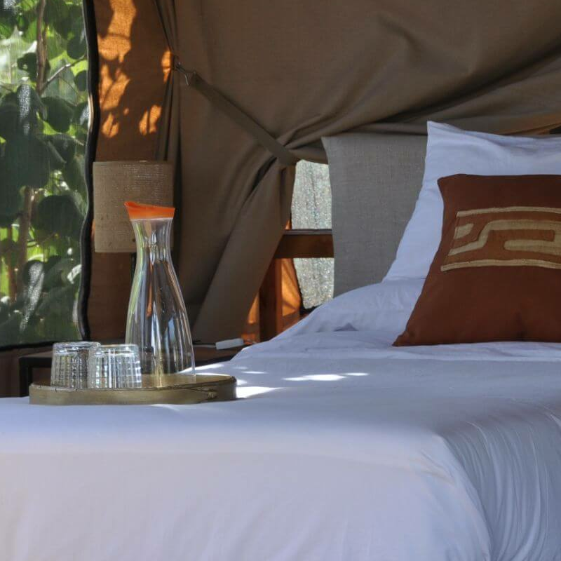 Ecoscience Lodge