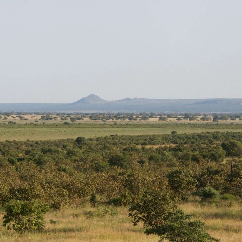 Ecoscience Lodge