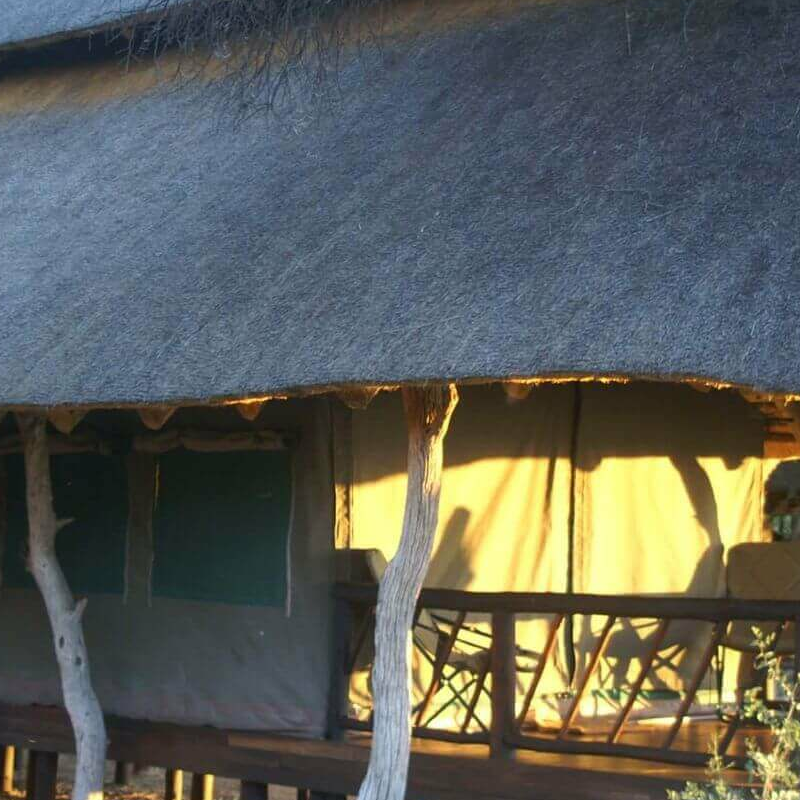 Edos Camp