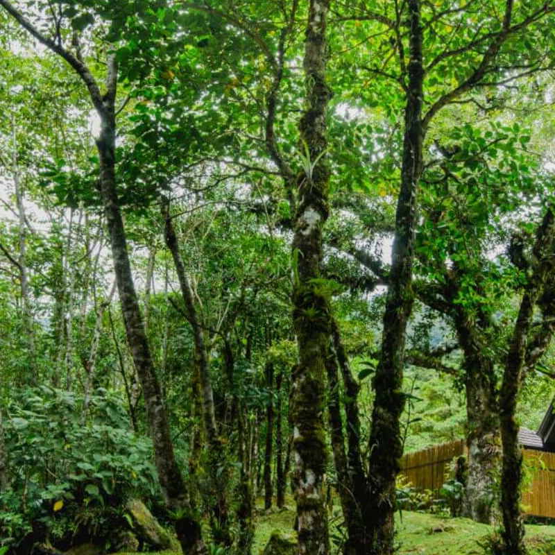 El Silencio Lodge & Spa