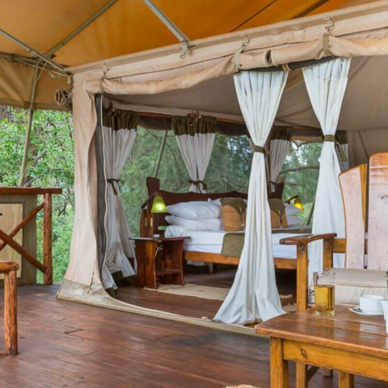 Elephant Bedroom Camp