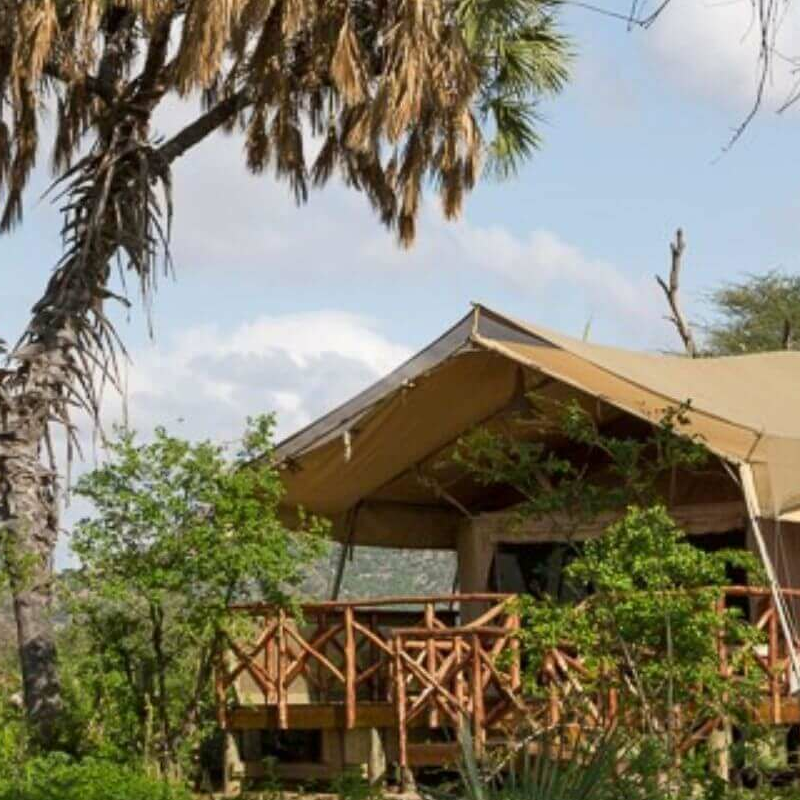 Elephant Bedroom Camp