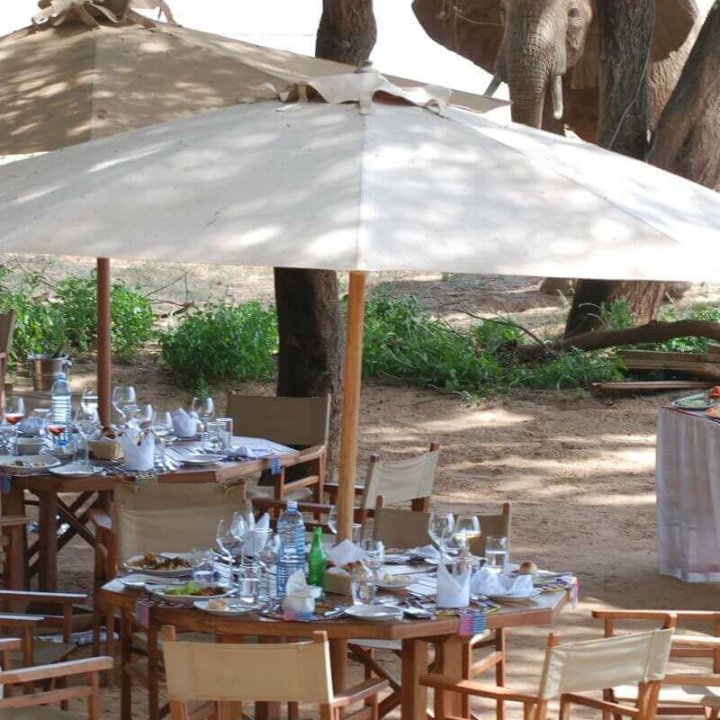 Elephant Bedroom Camp