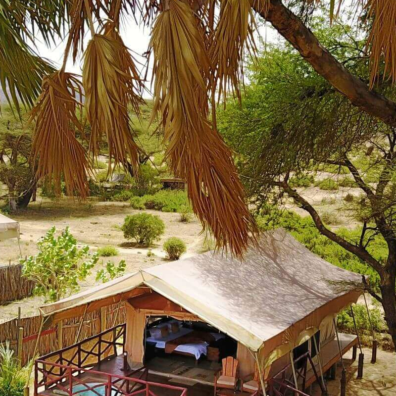 Elephant Bedroom Camp