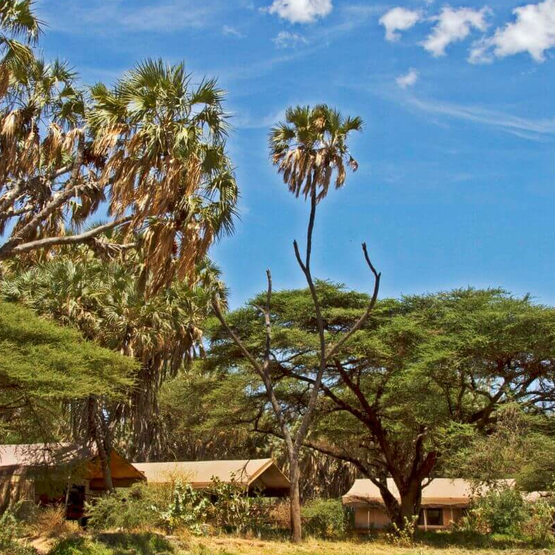 Elephant Bedroom Camp
